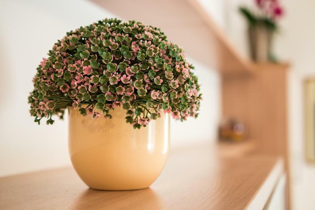 Snjezana Apartment Mali Lošinj Екстериор снимка